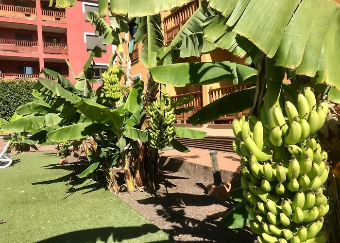 Mar Exclusive - Tenerife Sur Апартаменты *