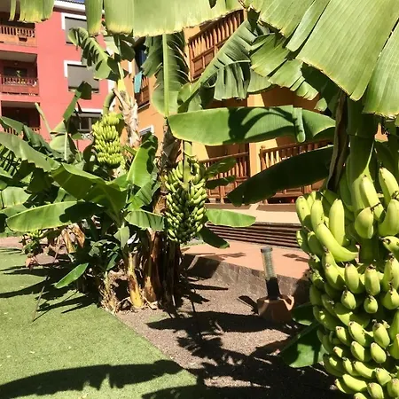 Mar Exclusive - Tenerife Sur Apartmán *